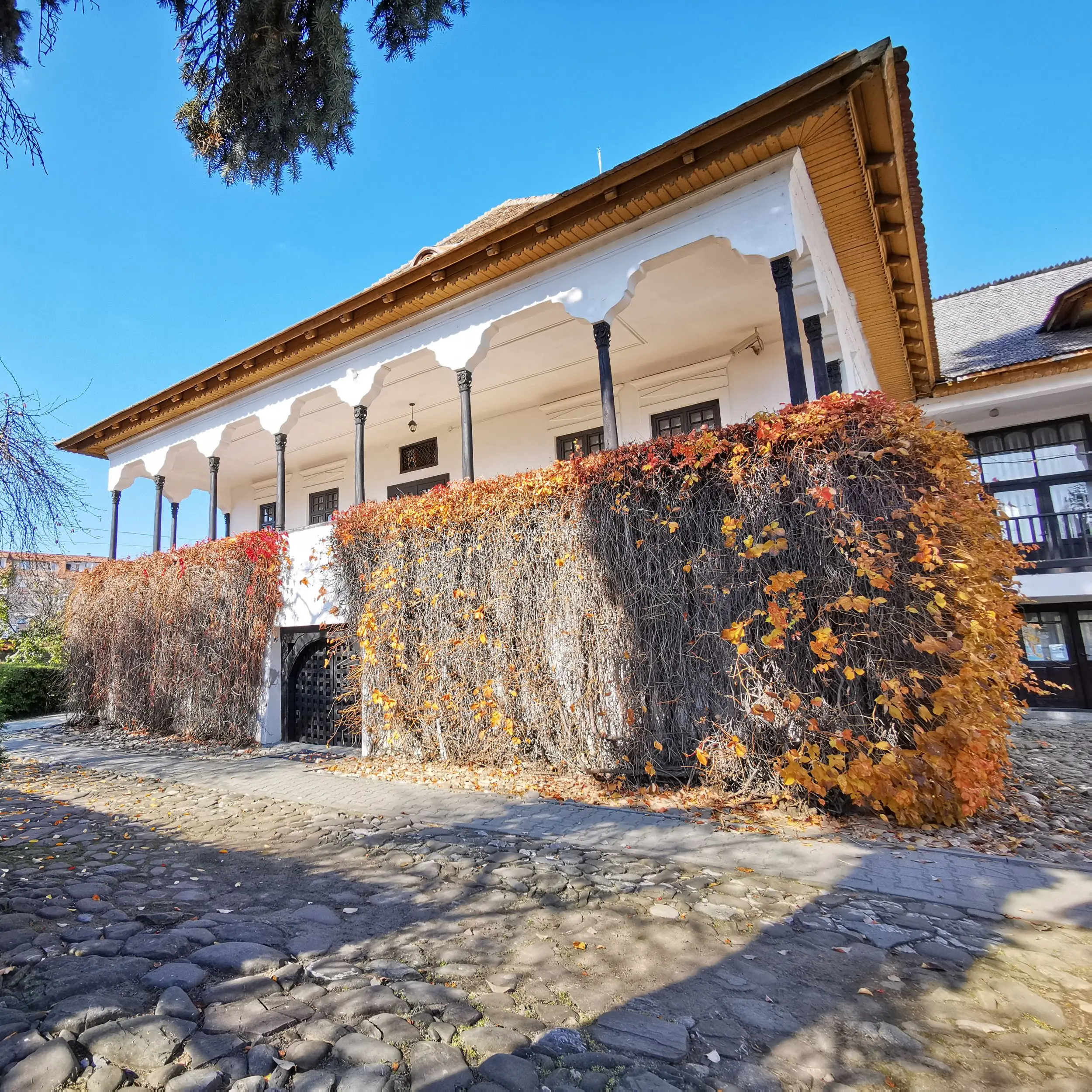 Vălenii de Munte - Casa Memorială Nicolae Iorga