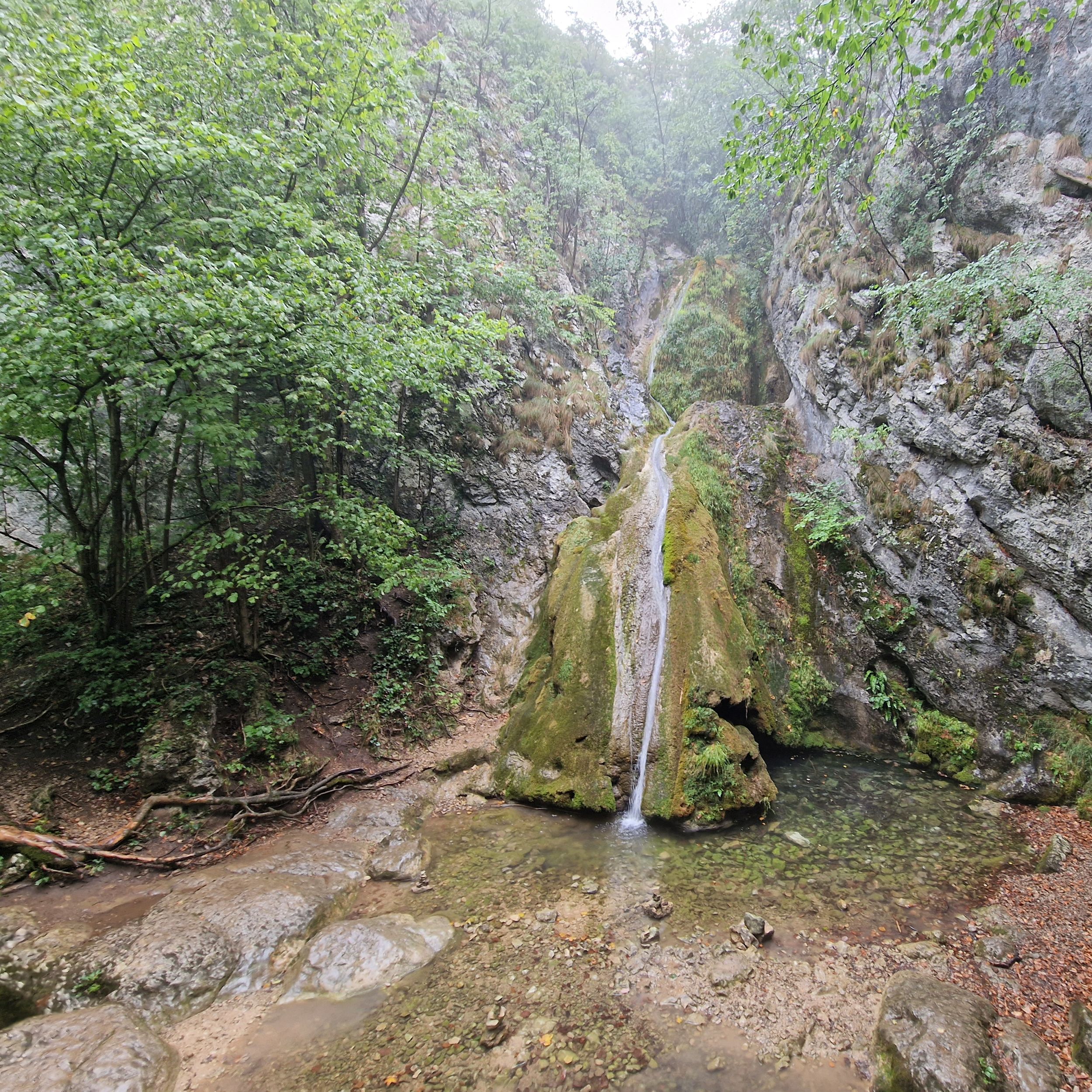 Cascada Șușara