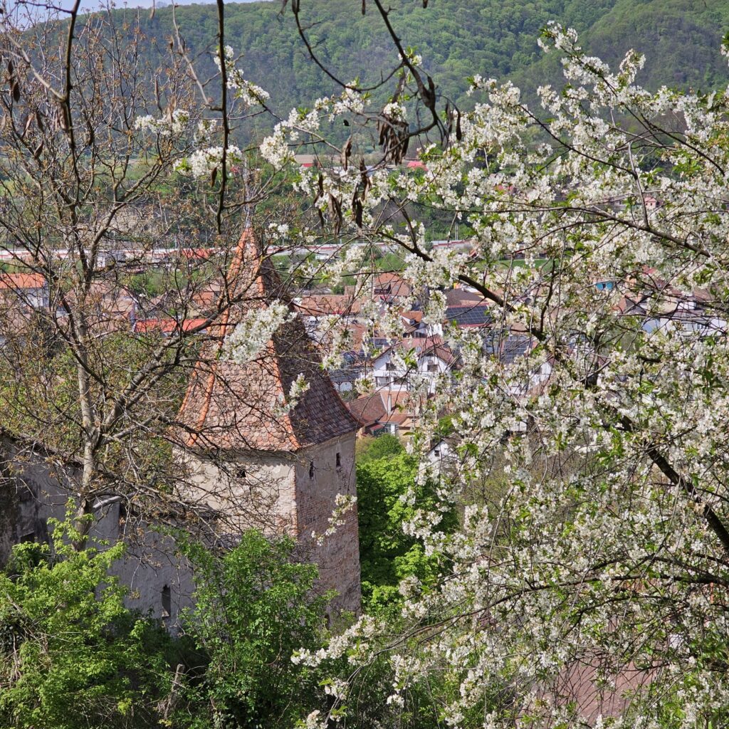 Sighișoara - Vedere de la Biserica din deal