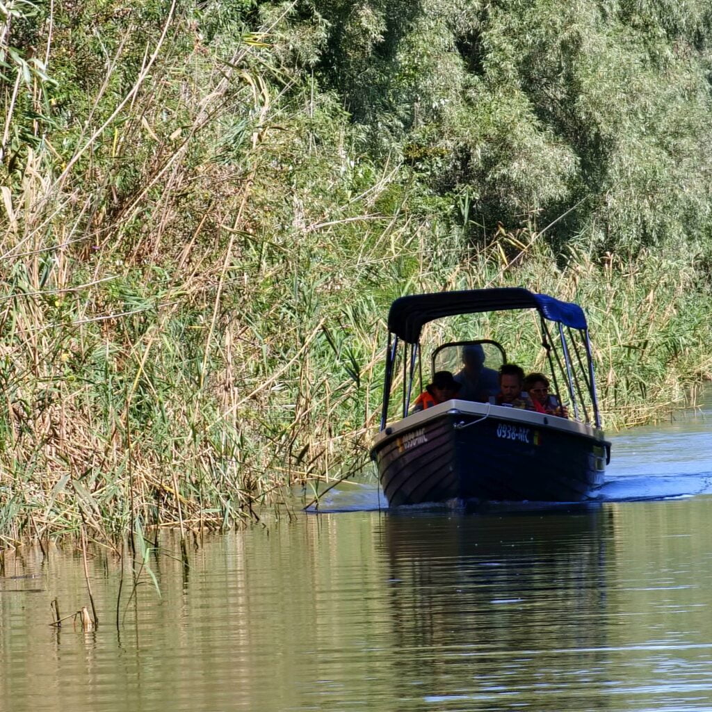Delta Dunării - cam așa arată o plimbare cu barca