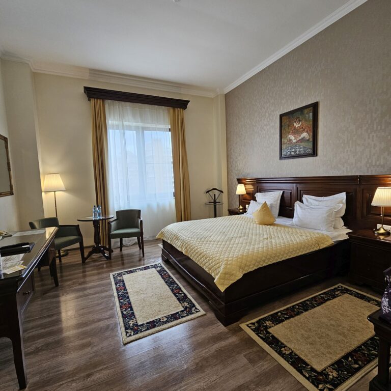 Grand Hotel Sofianu, Râmnicu Vâlcea - camera