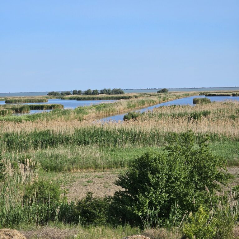 Pensiunea Paradisul verde, Jurilovca - view