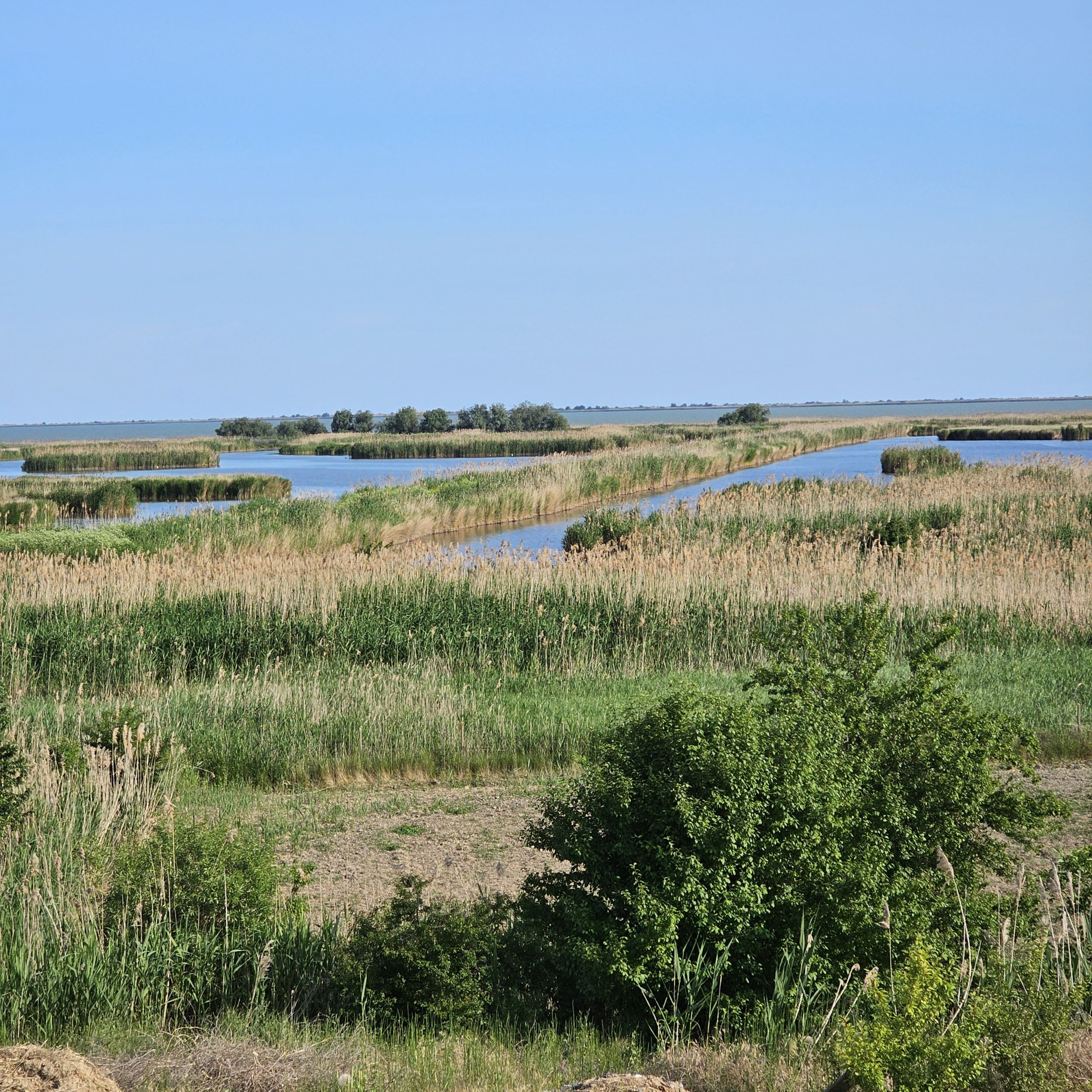 Pensiunea Paradisul verde, Jurilovca - view