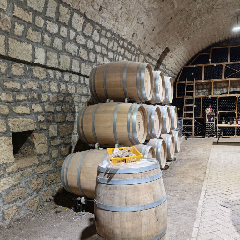 Crama de piatră - pivnița
